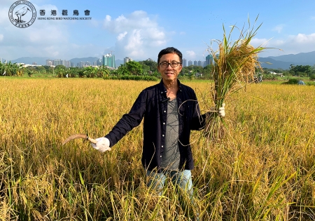 資深傳媒人區家麟 身體力行支持保育禾花雀